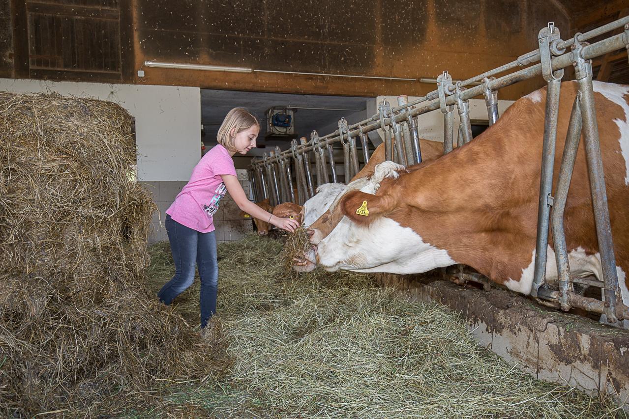 Ferienhof Pfaffenlehen Maria Neustift Buitenkant foto