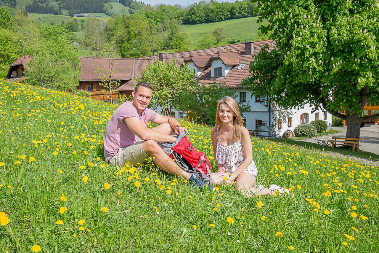 Ferienhof Pfaffenlehen Maria Neustift Buitenkant foto