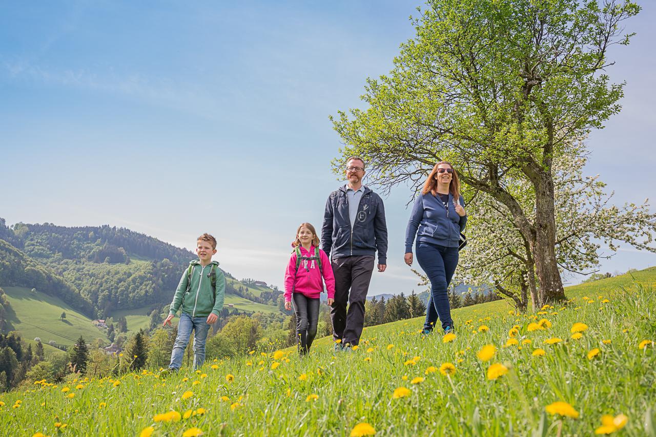 Ferienhof Pfaffenlehen Maria Neustift Buitenkant foto